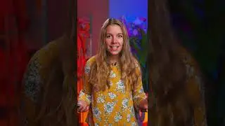 Где едят больше всего шоколада? 🍫