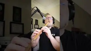 Flute and guitar works amazing together! (Aspherium and Steven Newton)