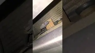 Subaru Outside Temperature Sensor Replacement
