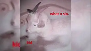 what a sin. - bitter taste (kid EP)