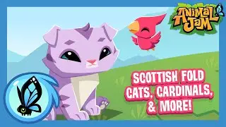 What's Coming to Animal Jam? | August Update