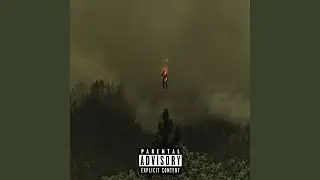 How You Felt