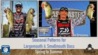 Webinar: Seasonal Patterns for Largemouth and Smallmouth
