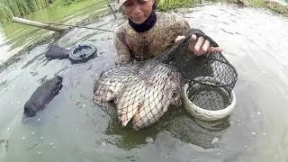 LOIRENG • DEMAK