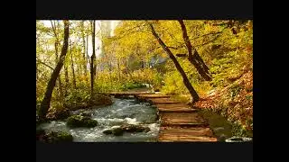 Cover song : Edgar Tuniyants  ( One Day Of Autumn / Tyros 5 )