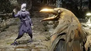 birds for some reason (3D Animated)