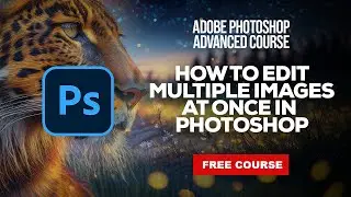How to Edit Multiple Images at Once in Adobe Photoshop CC