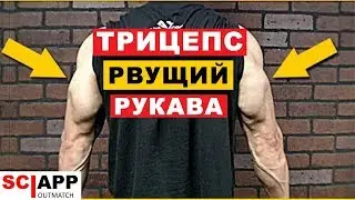 Как Накачать Большой Трицепс - Увеличь Объем - Заполни Рукава Футболки | Джефф Кавальер