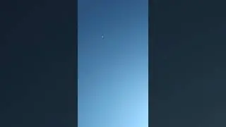 Гоняю голубей 07.01.2023год
