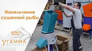 Переработка сушёной рыбы в мелкую фракцию на дробилке ми 500р. Переработка рыбы, измельчитель рыбы.