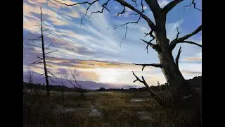 Corel Painter. Painting a Sunset Tutorial. Expressive Brush Pack