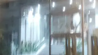 Бейби