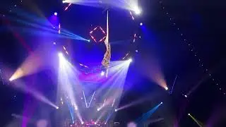 Circus Vazquez, NYC: Nov. 2021