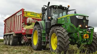 Kukurydza na Kiszonkę 2021 ✔ Gr Chojeccy ☆ Krone BIG X600 & 5 Zestawów ☆ TheKoledzy