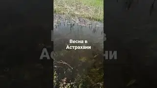 8 мая 2022 г.