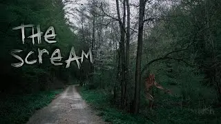 The Scream - True Account Of A Disturbing Paranormal Experience
