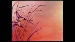 Black Moth Super Rainbow - Smile Heavy