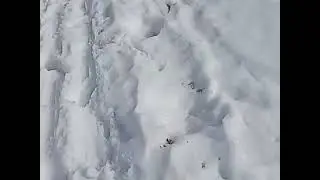 Первая в этом году поездка в сад.