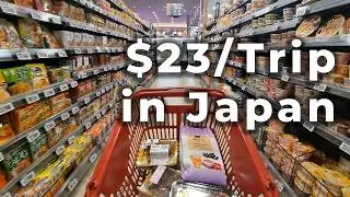 $23 Supermarket Trip in Tokyo, Japan | LIFE (ライフ)