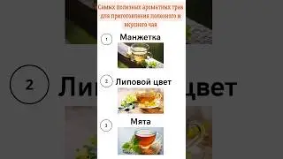 3 летних трав для полезных чаев круглый год #здоровье #shortsvideo #shortvideo #травы