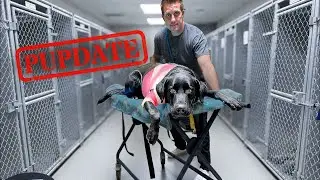 She’s out of surgery…
