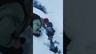 #Собачья упряжка #Междуреченск #Горная Шория.