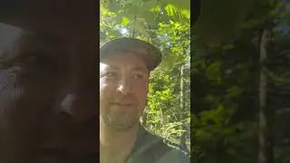 Охота по грибы! Летняя вылазка в лес с хорошим результатом на все сто!