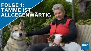 Neues von Carmen Hanken: Willkommen auf dem Hankenhof