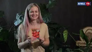 Сеем томат Санька,Воловье сердце,Французский гроздевой,томат Бизон жёлтый.