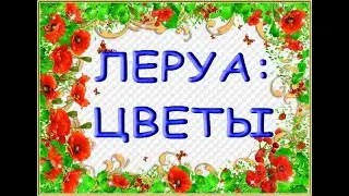 ЛЕРУА:ЦВЕТЫ (комнатные растения),27.03.20,ТЦ
