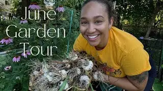 June Garden Tour | Garlic Harvest and Direct Sowing