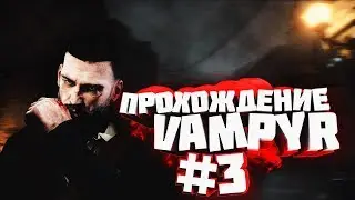 VAMPYR|ПРОХОЖДЕНИЕ #3|BURG LAIS