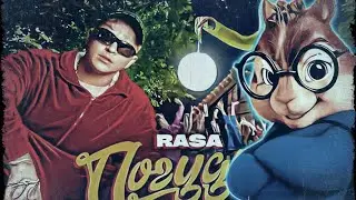 RASA-ПОГУДИМ (БУРУНДУКИ)/ БУРУНДУКИ-ПОГУДИМ (RASA)