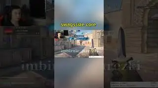 #swagssize #cs2 #csgo #counterstrike #twitch #кс #gaming #sigma #5opka #фугатв #сп #ксго