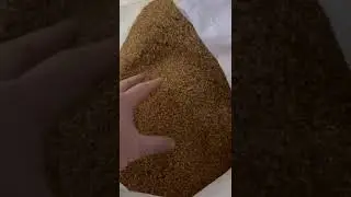 Сухая пивная дробина, продам оптом и в розницу от производителя