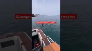 Рыбалка на Камчатке. Поймали окуня.