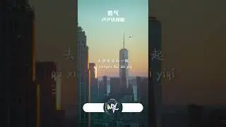 卢卢快闭嘴 - 勇气 (原唱：梁静茹)「爱真的需要勇气 来面对流言蜚语，只要你一个眼神肯定 我的爱就有意义」(4k Video)【動態歌詞/pīn yīn gē cí】#卢卢快闭嘴  #勇气 #梁静茹