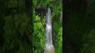 Rainy Day At The Falls