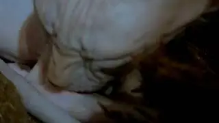 КРЫСЯ. Вот как они это делают! Funny Cat