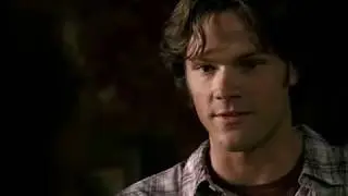 The 