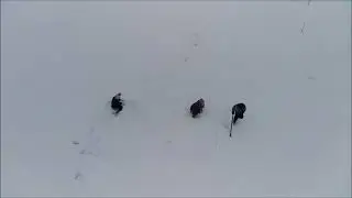 Троица в снегах