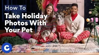 How To Take Holiday Photos With Your Pet | Chewtorials