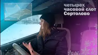 ЧЕТЫРЕХ ЧАСОВОЙ СЛОТ СЕРТОЛОВО / Доставка в Яндекс про / Тарифы курьер и экспресс