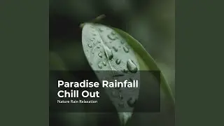 Nature Rain Serenity