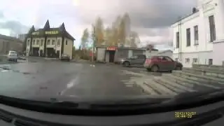 Horse Crashes Car