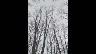 Masha Girl. Oсень на дворе