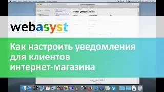 Как правильно настроить уведомления для клиентов интернет-магазина