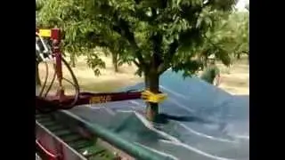 Сбор урожая.И я так хочу!)