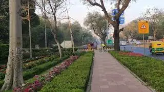 Winter Flowers New Delhi 1