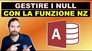 MS Access - Handling Null with NZ